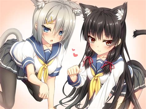 anime katzenmädchen|nekomimi cat in anime.